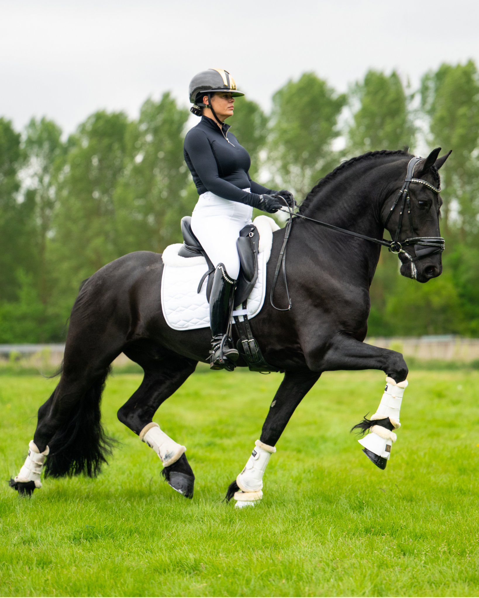 Pro-tech Competition Breeches